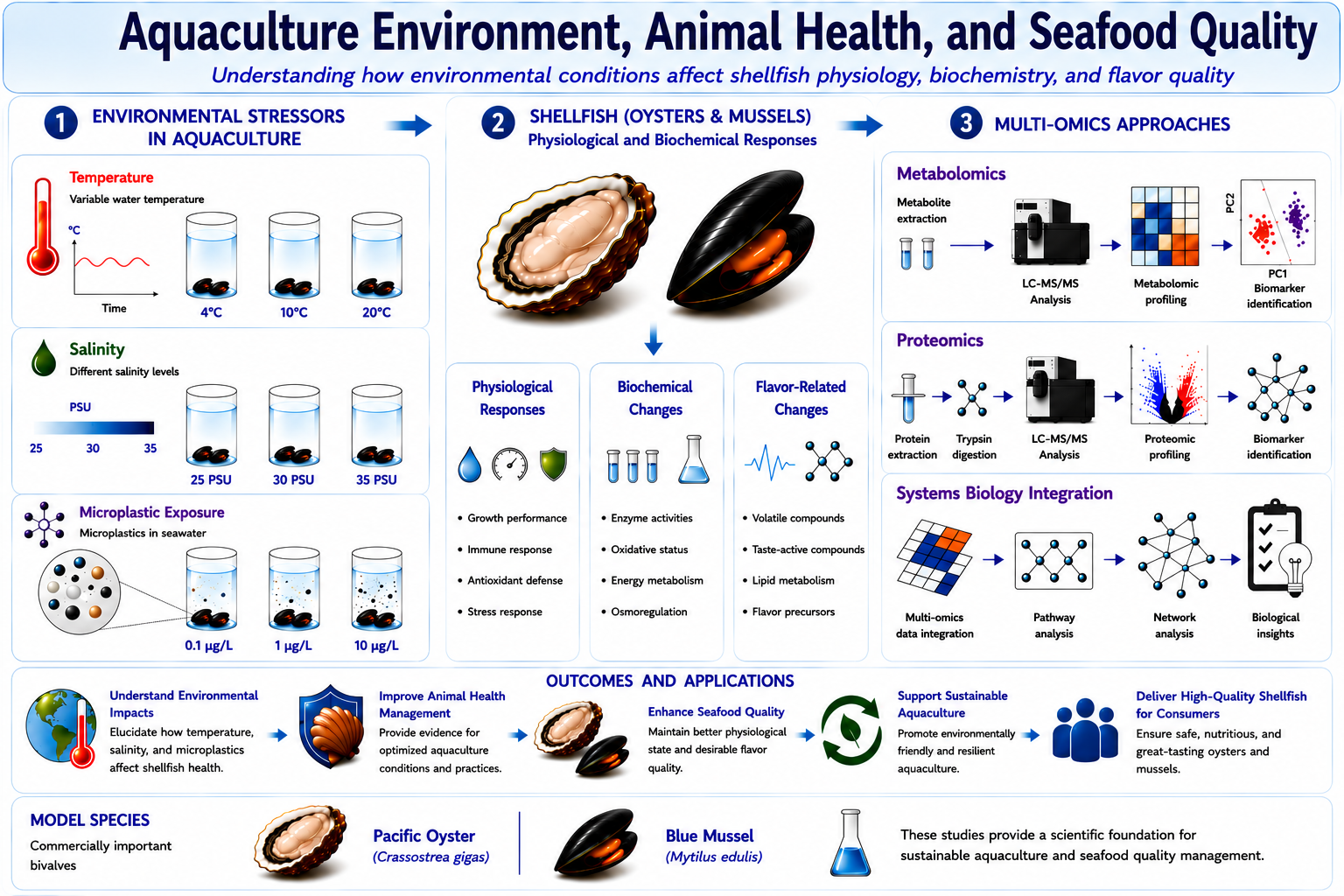 Aqua Environment